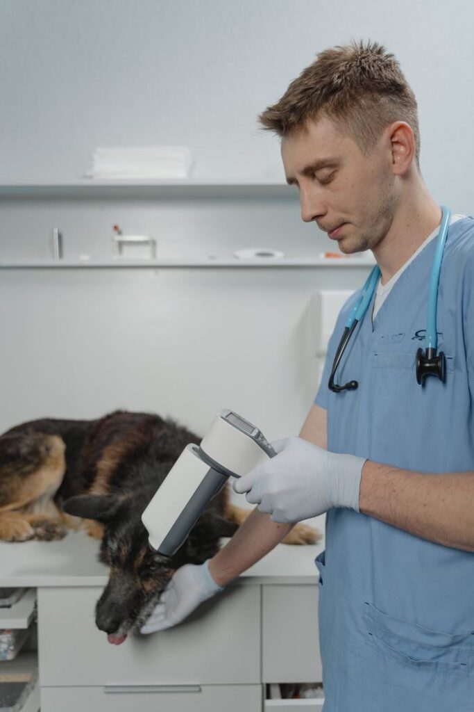 A veterinarian in scrubs examining a German Shepherd with medical equipment in a clinic.
